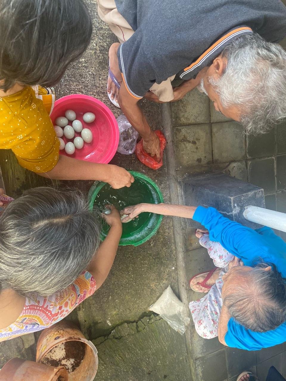 cuci-telur